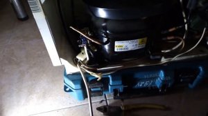 Ремонт холодильника Ariston встройка щелкает