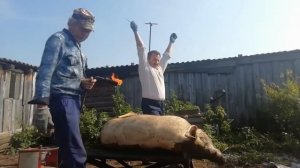 Колем поросёнка, с помощью Болгарки и керхера ?,!!!