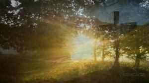 ТЫ НАУЧИСЬ ВСЕ УМЕТЬ...