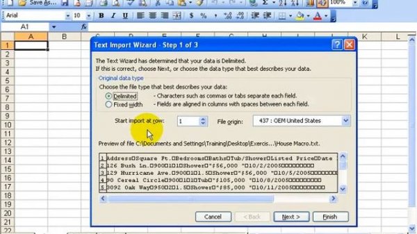 Excel 2003: Import Data From Text File