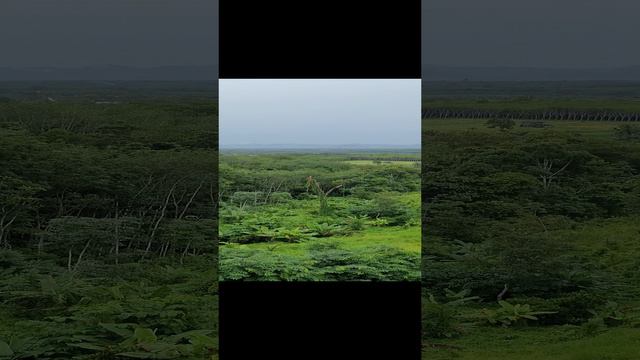 Отель в горах смотреть онлайн