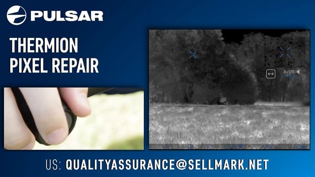 Pulsar Thermion Pixel Repair