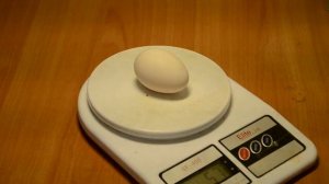 Минорка, видео обзор породы, плюсы и минусы, опыт содержания./Minorca, content experience.