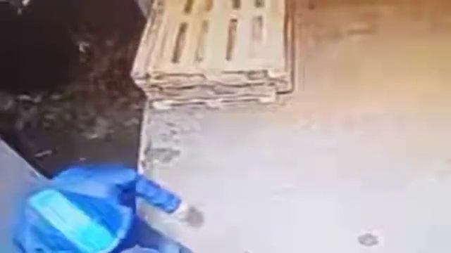 В Новотроицке молодые люди похищают видеокамеру