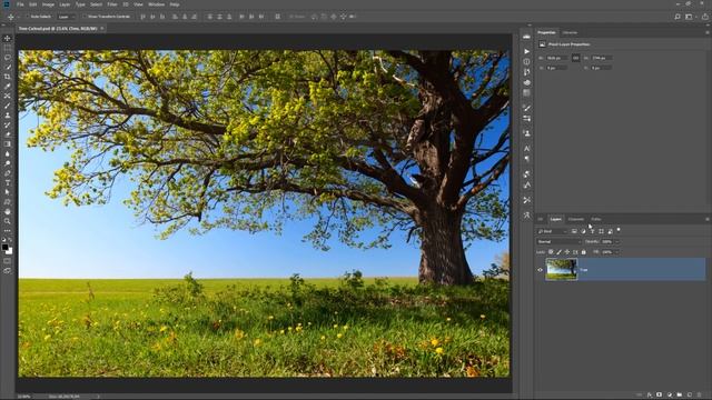 Two POWERFUL Photoshop Cut Out Techniques - Difficult Selections Made FAST and EASY смотреть онлайн