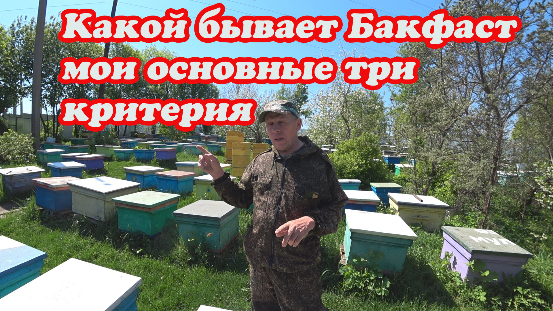 ОСНОВНЫЕ МОИ ТРИ КРИТЕРИЯ МОЕГО БАКФАСТА. смотреть онлайн