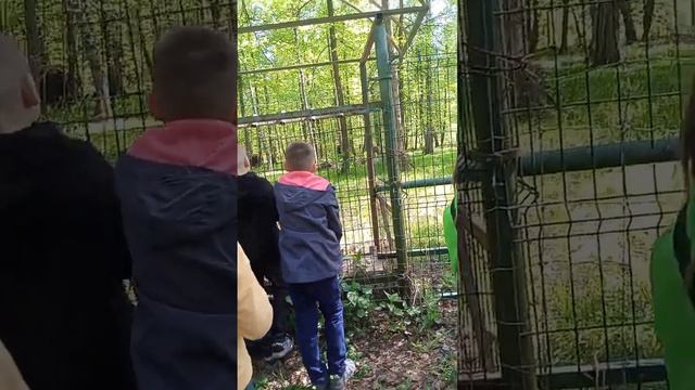 Музей+Парк Птиц ( Экскурия ) смотреть онлайн