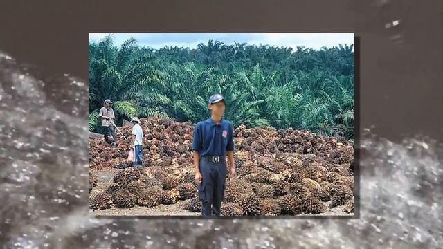 Огромная змея смотреть онлайн