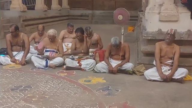 Madhurai - Karthigai Masam - Karthigai Natchathiram - Thirumangai Aalwar Uthsavam Koodalazhagar Koi смотреть онлайн