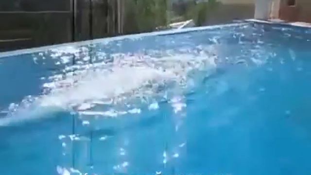 Бассейны переливные смотреть онлайн