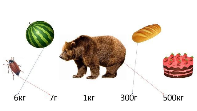 Макарова А В Единицы массы килограмм, грамм Видео учебного занятия смотреть онлайн