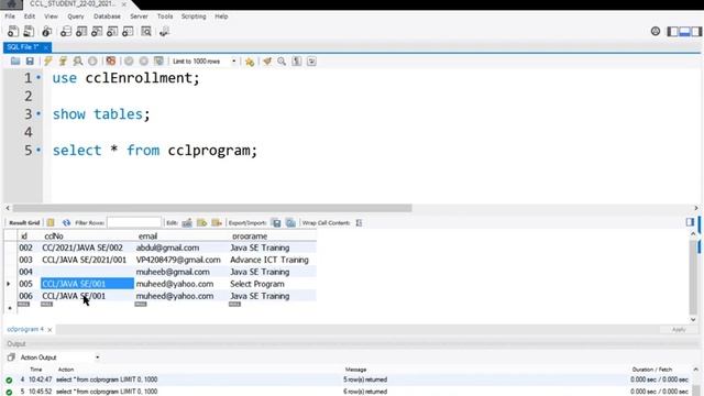 VIDEO8; Java GIU Input Validations Tuples Update смотреть онлайн