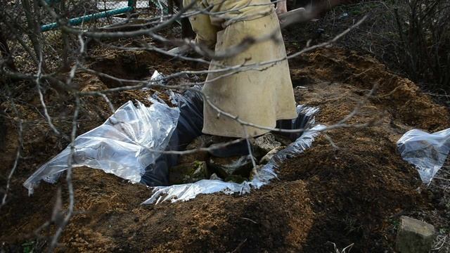 Пруд для черепахи своими руками смотреть онлайн