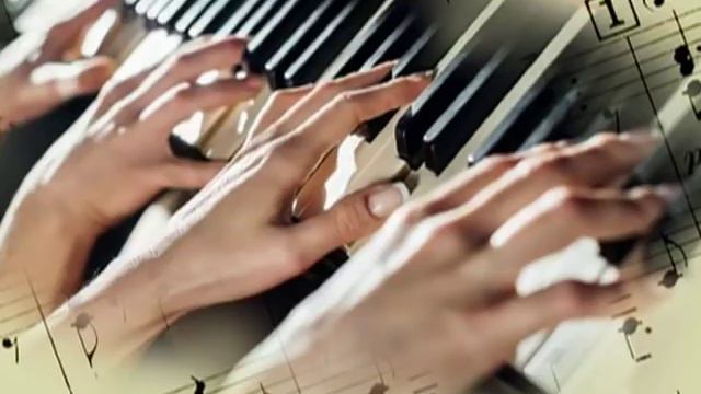 Ferenc Bernath: Thinking Donkey смотреть онлайн