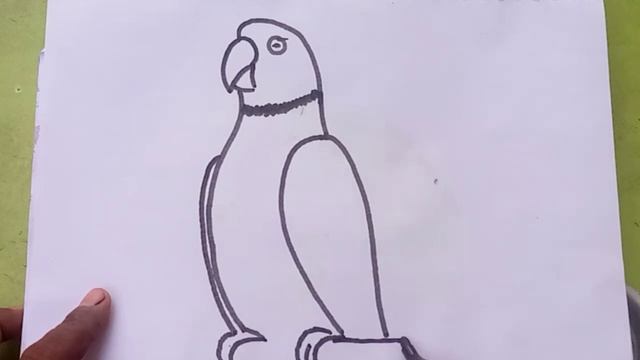 Parrot drawing easy for kids| tota ka photo kaise banaye pencil se color | kid drawing hub смотреть онлайн