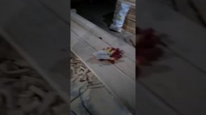 Простейшая торцовка из дисковой пилы