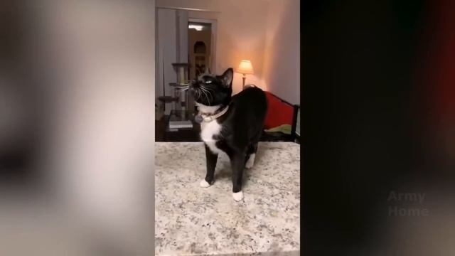 45 МИНУТ НЕВОЗМОЖНО ? ОСТАНОВИТЬСЯ СМЕЯТЬСЯ САМЫЕ НЕЛЕПЫЕ И РЖАЧНЫЕ ПРИКОЛЫ 2024 УГАРНАЯ ПОДБОРКА