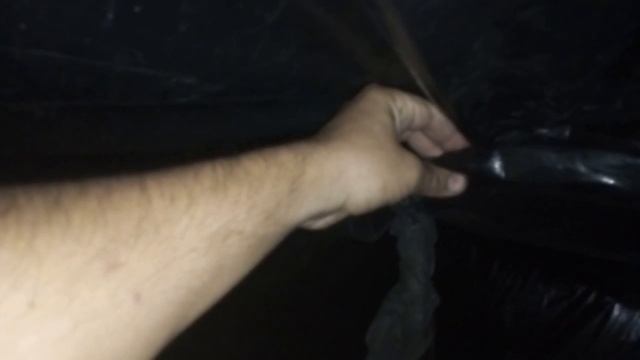 Затемнение хризантемы 20 день смотреть онлайн