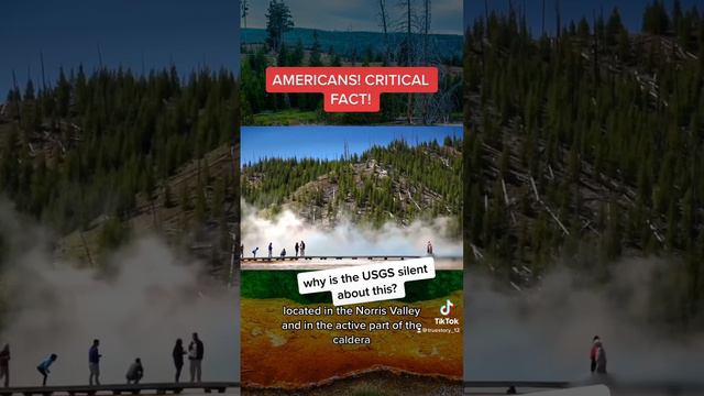Americans! Critical fact about Yellowstone🤯 #yellowstone #volcano #usgs #data #fact смотреть онлайн