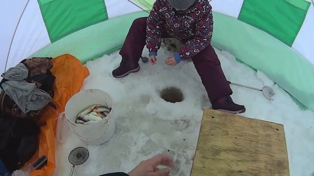 Рыбалка 2018. Ловля крупной плотвы на мормышку. Рыбачка Соня. смотреть онлайн