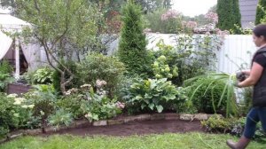 Что посадить вдоль забора? Переделываем цветник!!!