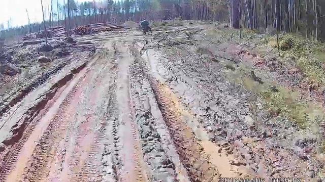 Лесные покатухи TTR 110 и 125 смотреть онлайн