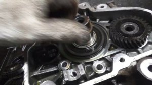 Фольксваген Т5 : диагностика, ремонт кпп, шумит на стоячую.