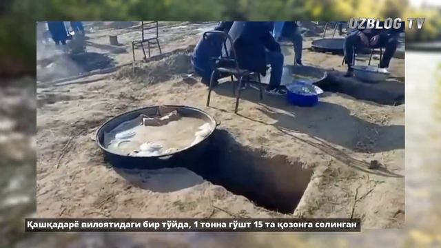 Дахшат Туйда 1 тонна гушт солишибди куринг смотреть онлайн