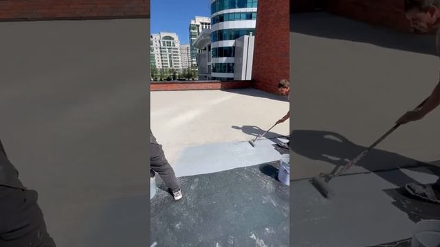 Гидроизоляции по мокрому слою финишной мастики #elastomericsystems