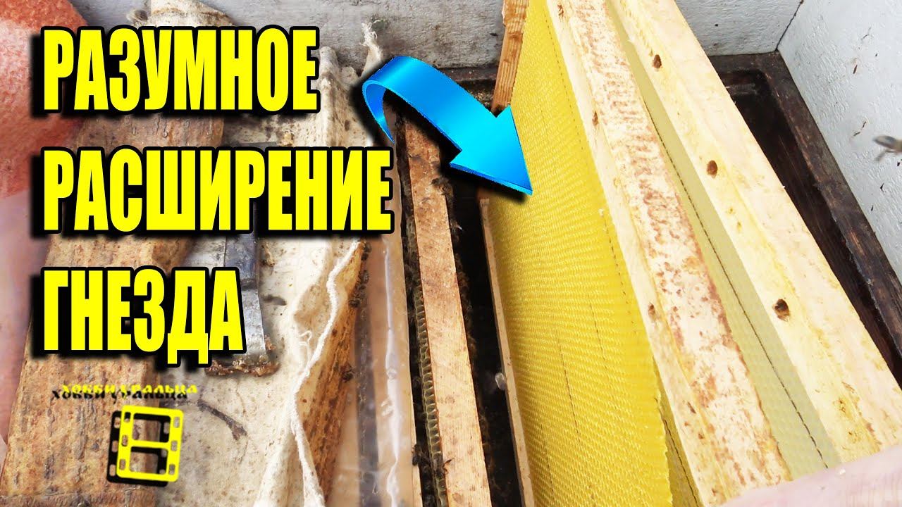 ПРАВИЛЬНОЕ РАСШИРЕНИЕ ГНЕЗДА ВЕСНОЙ. КОГДА СТАВИТЬ ВОЩИНУ В УЛЕЙ? ДЛЯ НАЧИНАЮЩИХ ПЧЕЛОВОДОВ 7-21 смотреть онлайн
