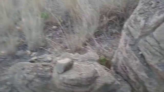 Бутафория, не соль. смотреть онлайн