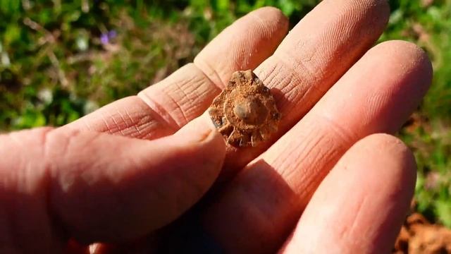 Metal Detecting Where we Found the BIG OLD GOLD смотреть онлайн