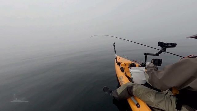 Kayak Squidding смотреть онлайн