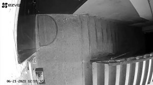 Призрак в подъезде?