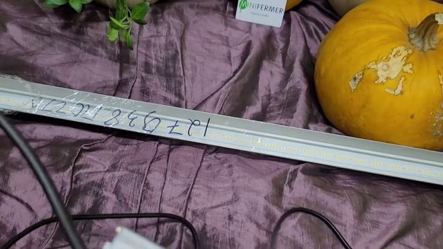 Фитолампа. MINIFERMER. Обзор лампы. смотреть онлайн