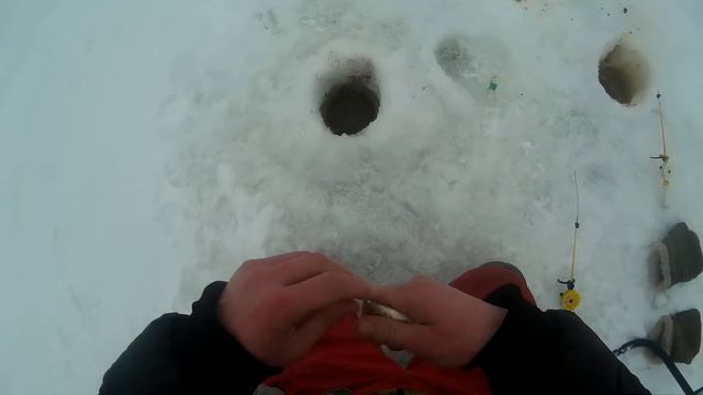 Соревнования по зимней рыбалке 2019. Пестовский район! смотреть онлайн
