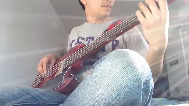 Undertale - Hopes and Dreams bass cover смотреть онлайн