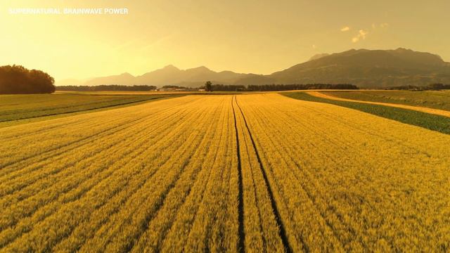 Saxophone Meditation Music ! Positive Energy Vibrations ! Sleep Healing Music ! Manifest Frequency смотреть онлайн