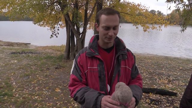 Киевский клуб моржей "Северное Сияние" (г. КИЕВ 24.10.2015г.) смотреть онлайн