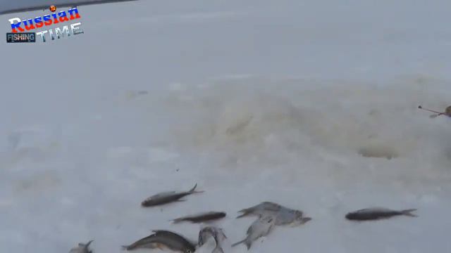 Russian Fishing Time № 1 смотреть онлайн