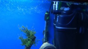 Регулировка подачи воздуха в аквариумный фильтр