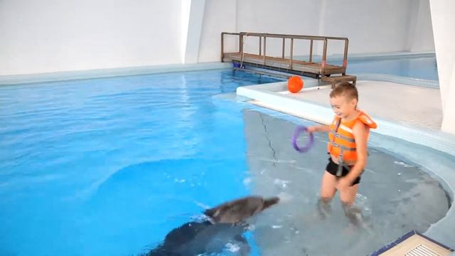 Плавание с дельфинами. Новосибирск 2019.