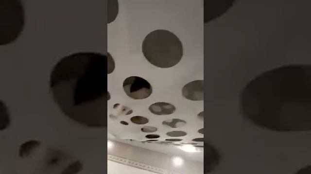 КОШКА ЗАЛЕЗЛА НА НАТЯЖНОЙ ПОТОЛОК смотреть онлайн