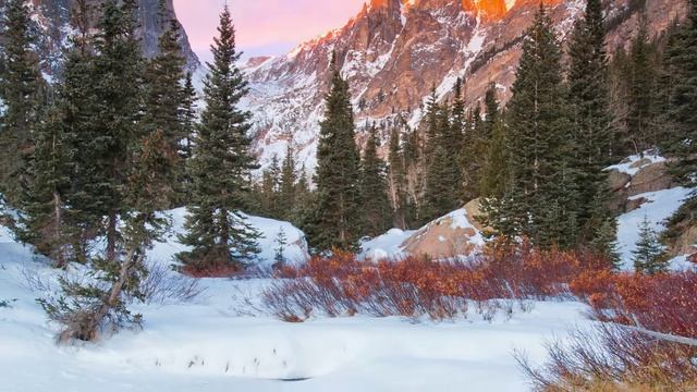 Antonio Vivaldi. Winter