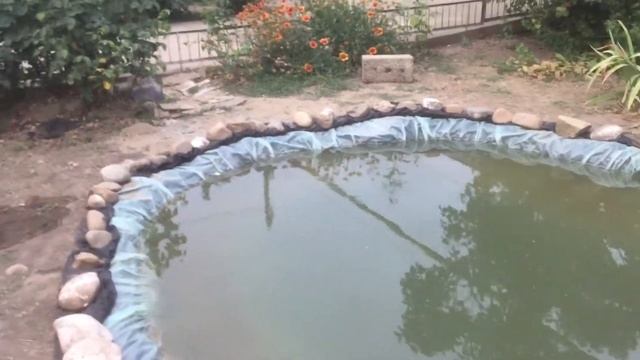 РЕЗУЛЬТАТЫ ФИЛЬТРА В ПРУДУ смотреть онлайн