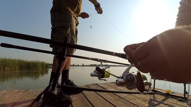 Карпачи в Высокополье, рыбалка, лето, жара, кайф. смотреть онлайн