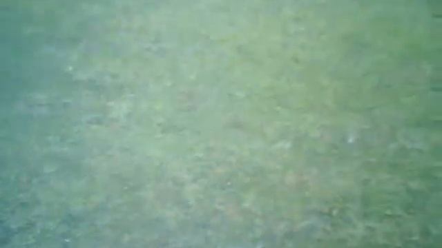 полет с видеокамерой на р/у планере смотреть онлайн