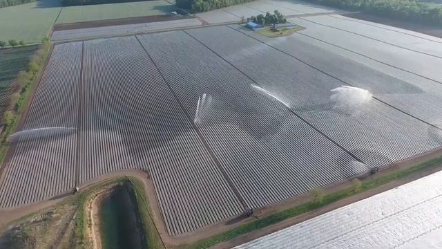 Схема полива из 4-х спринклеров. Съемки с дрона. смотреть онлайн