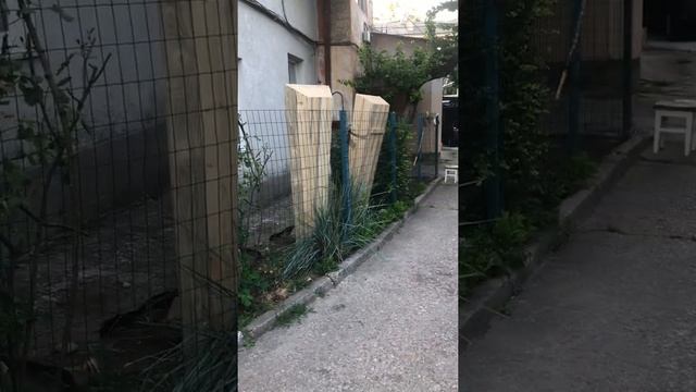 Как избавиться от больной соседки Ведьма 21 века, жесть смотреть до конца смотреть онлайн