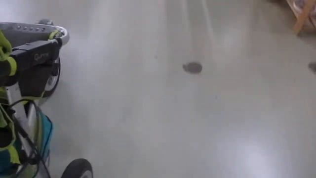 Meerijden Met De Quinny Speedi SX: TopLine Papillon (Rataplan)